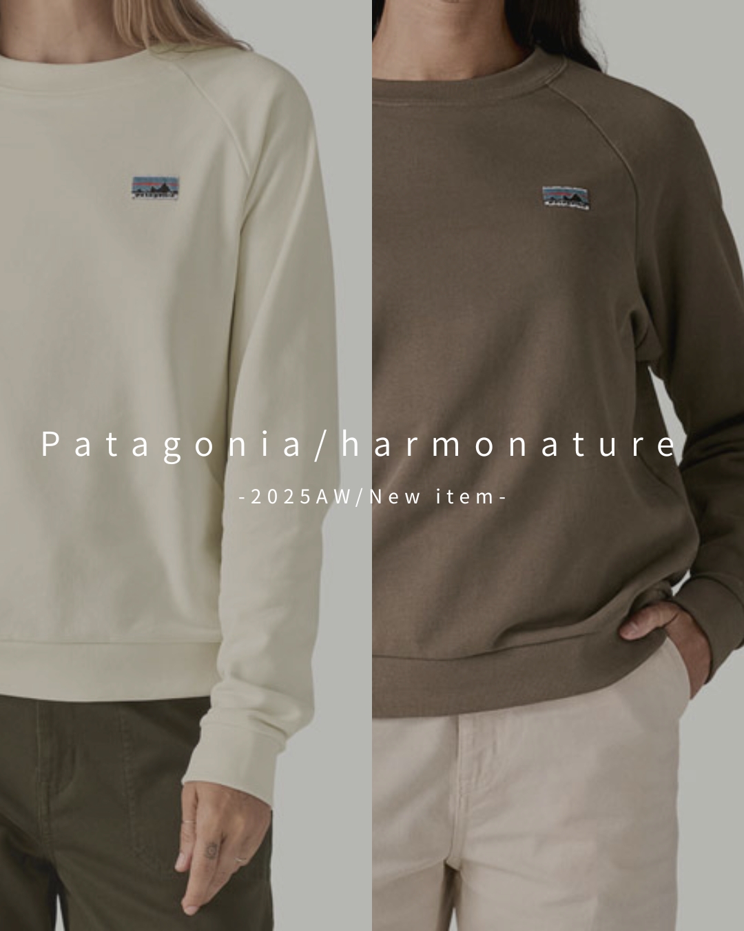 Patagonia レディーストレーナーの魅力 | アイテム特集 | オーガニック 
